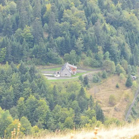 Gite Isole Avec Piscine Chauffee, Cheminee, Animaux Acceptes - Fr-1-742-314 *
