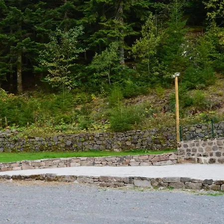 Gite Isole Avec Piscine Chauffee, Cheminee, Animaux Acceptes - Fr-1-742-314 Vakantiehuis Le Falgoux