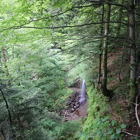 Gite Isole Avec Piscine Chauffee, Cheminee, Animaux Acceptes - Fr-1-742-314