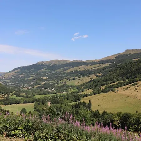 Gite Isole Avec Piscine Chauffee, Cheminee, Animaux Acceptes - Fr-1-742-314 *