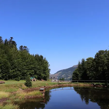 Gite Isole Avec Piscine Chauffee, Cheminee, Animaux Acceptes - Fr-1-742-314 * Le Falgoux