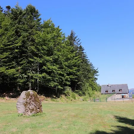 Gite Isole Avec Piscine Chauffee, Cheminee, Animaux Acceptes - Fr-1-742-314 * Le Falgoux