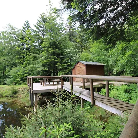 Gite Isole Avec Piscine Chauffee, Cheminee, Animaux Acceptes - Fr-1-742-314 Le Falgoux