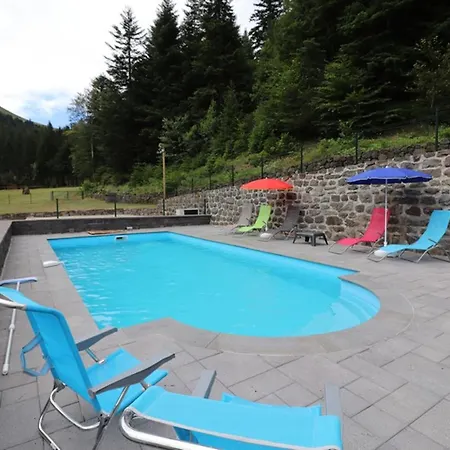 Vakantiehuis Gite Isole Avec Piscine Chauffee, Cheminee, Animaux Acceptes - Fr-1-742-314